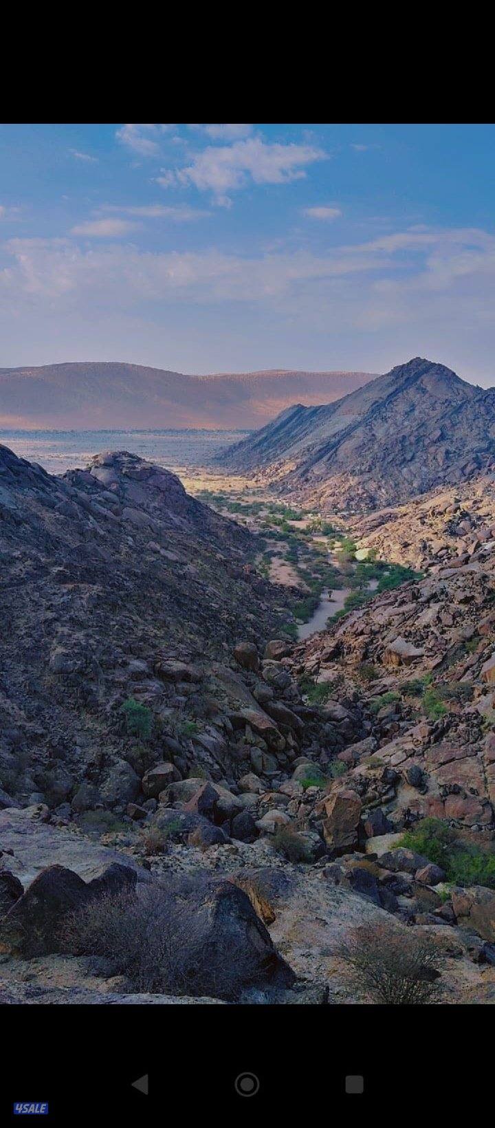 يمني أبحث عن دوام مسائي لدي رخصه كويتيه ولدي معرفه باجميع مناطق الكويت0