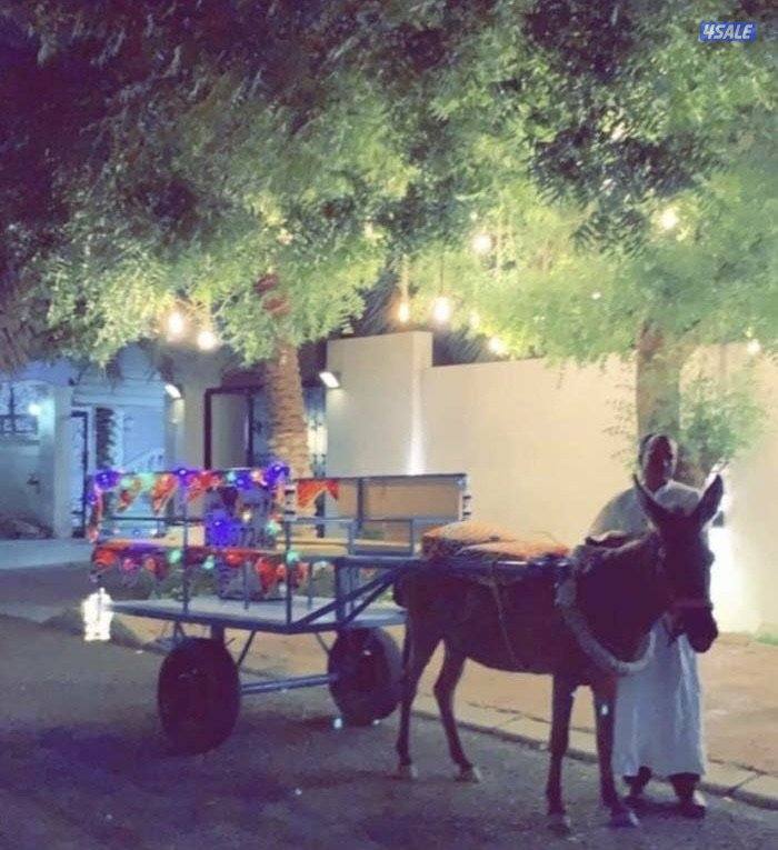 للأيجار بوني للأطفال وعربانه حنطور توصيل جميع مناطق الكويت3