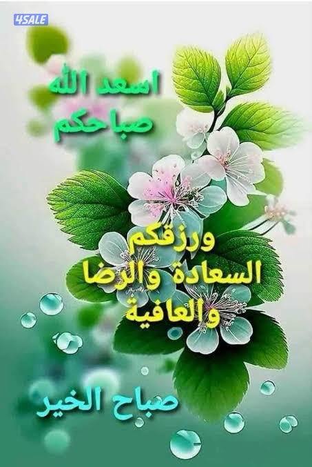 مدرس لغة انجليزية ثانوي صف١٢ خبرة كبيره0