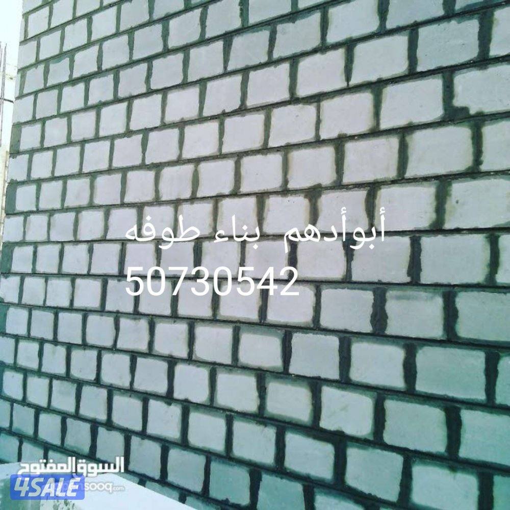 ترميمات مساح وسيجما وحمايتها اصباغ داخليه وخارجي عازل اسطح جيتاروف4