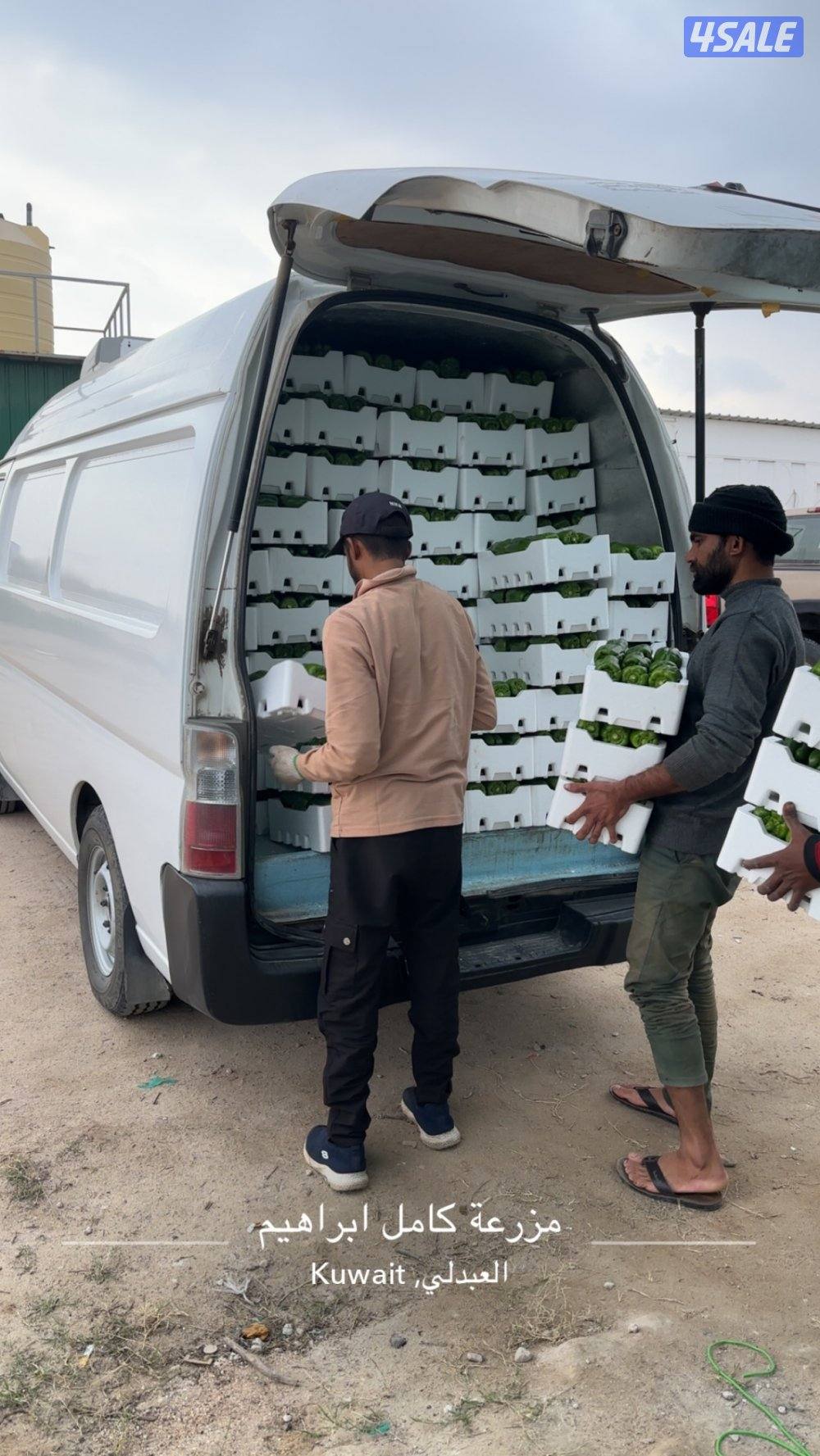 باص اورفان موديل 2012 ثلاجة سقف عالي4