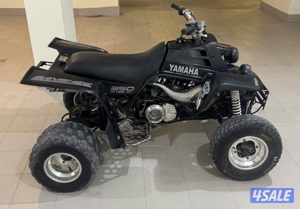 للبيع بانشي ٢٠٠٤ سبشل ادشن2