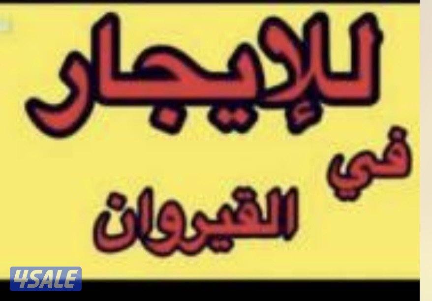 شقه بالقيروان0