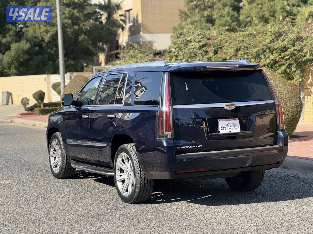 اسكاليد ٢٠١٨ لون مميز صبغ وكاله4