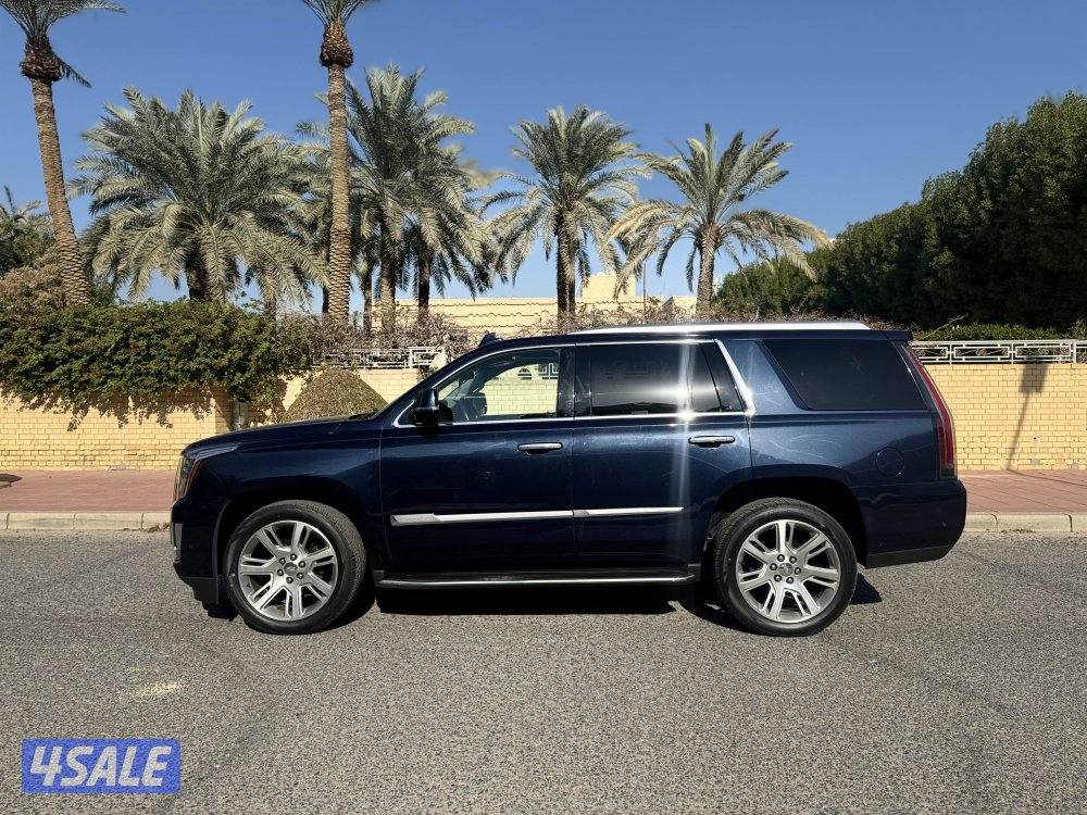 اسكاليد ٢٠١٨ لون مميز صبغ وكاله8