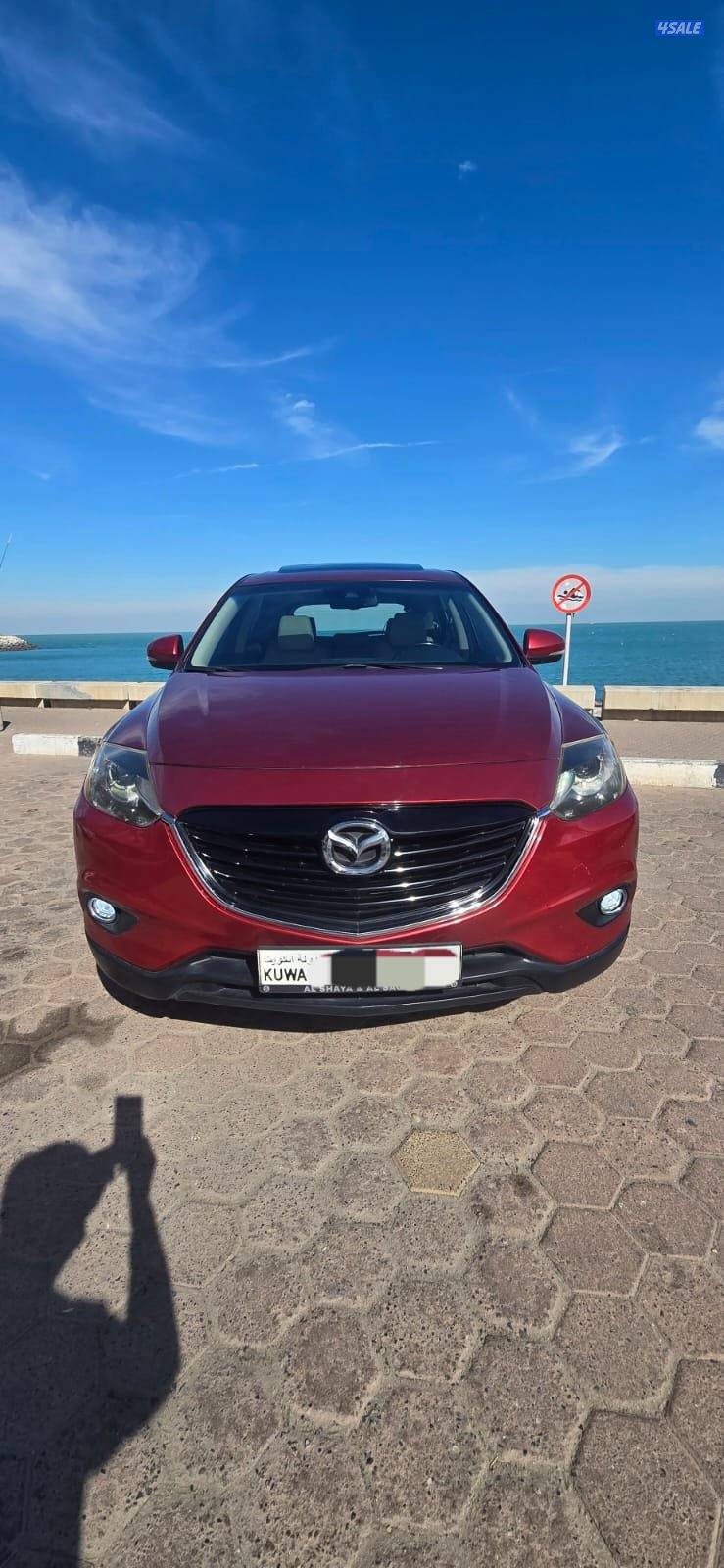 CX9 صبغ المصنع قمة في النظافة أعلى درجة1