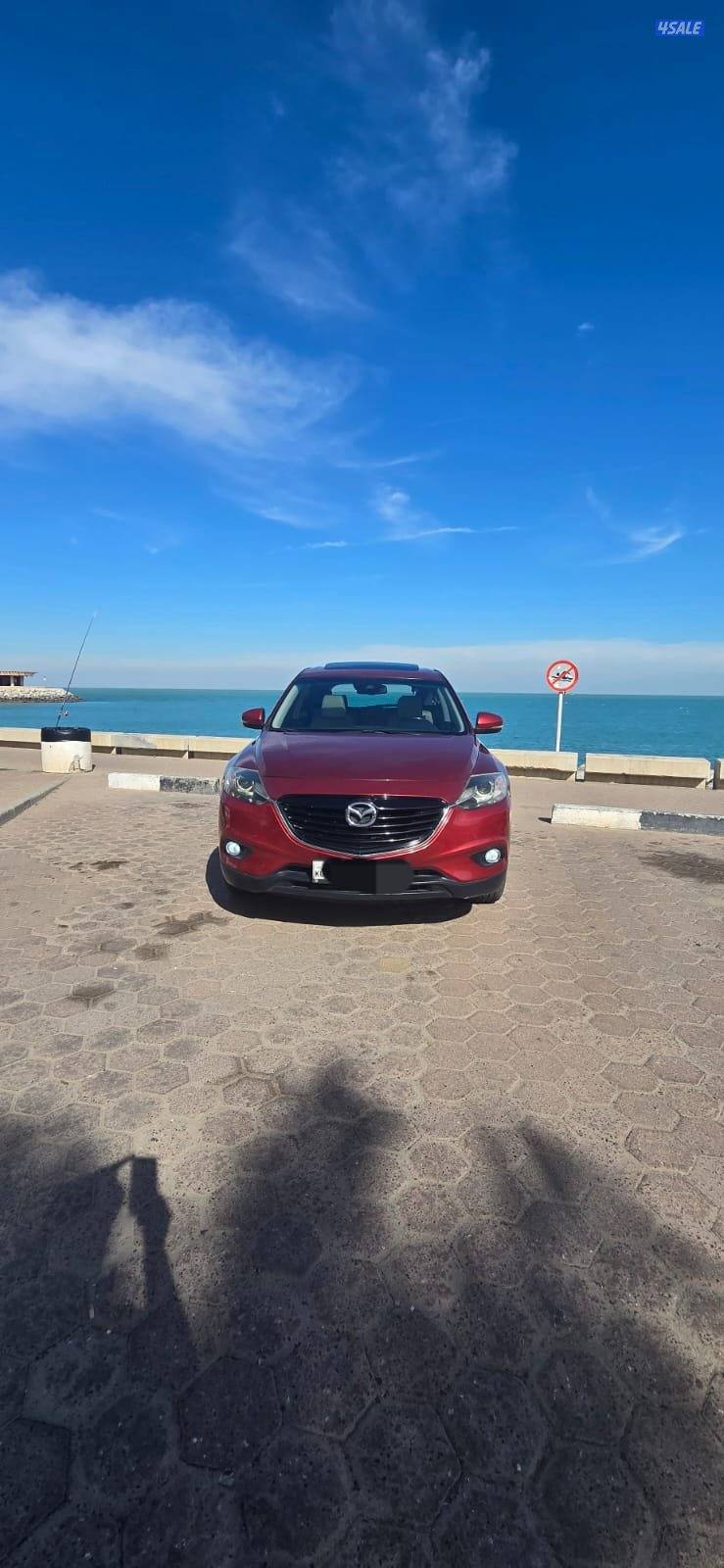 CX9 صبغ المصنع قمة في النظافة أعلى درجة2