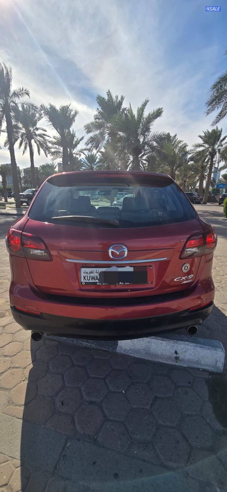 CX9 صبغ المصنع قمة في النظافة أعلى درجة3