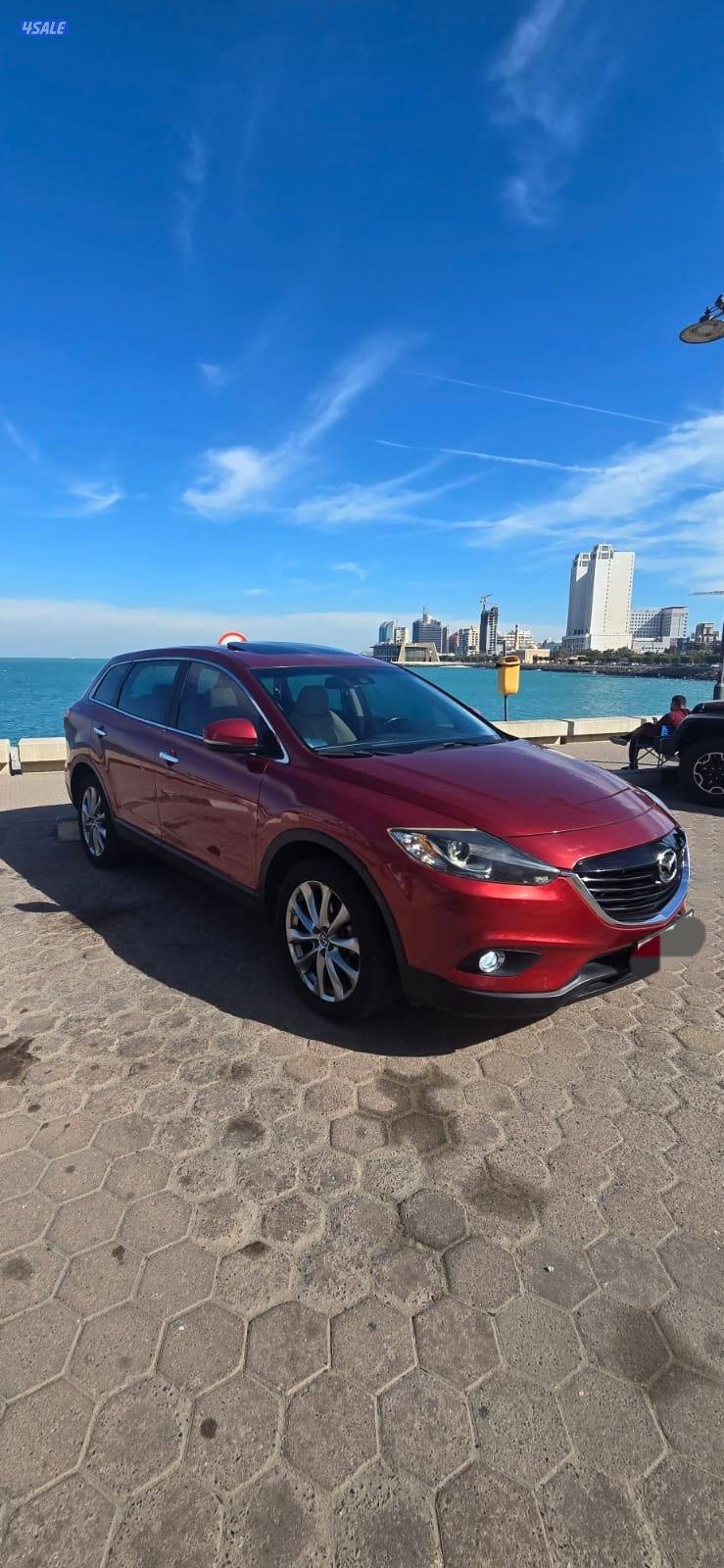 CX9 صبغ المصنع قمة في النظافة أعلى درجة4