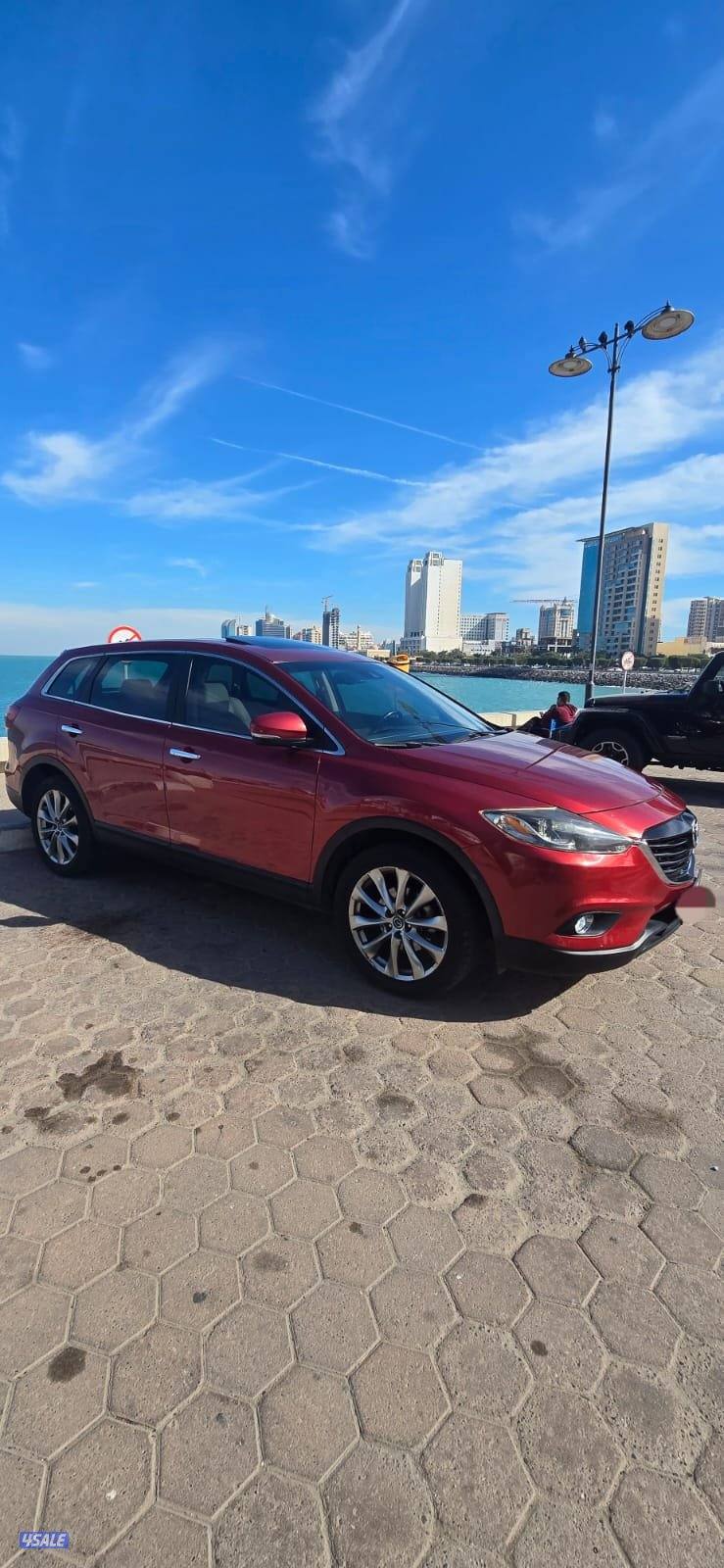 CX9 صبغ المصنع قمة في النظافة أعلى درجة5