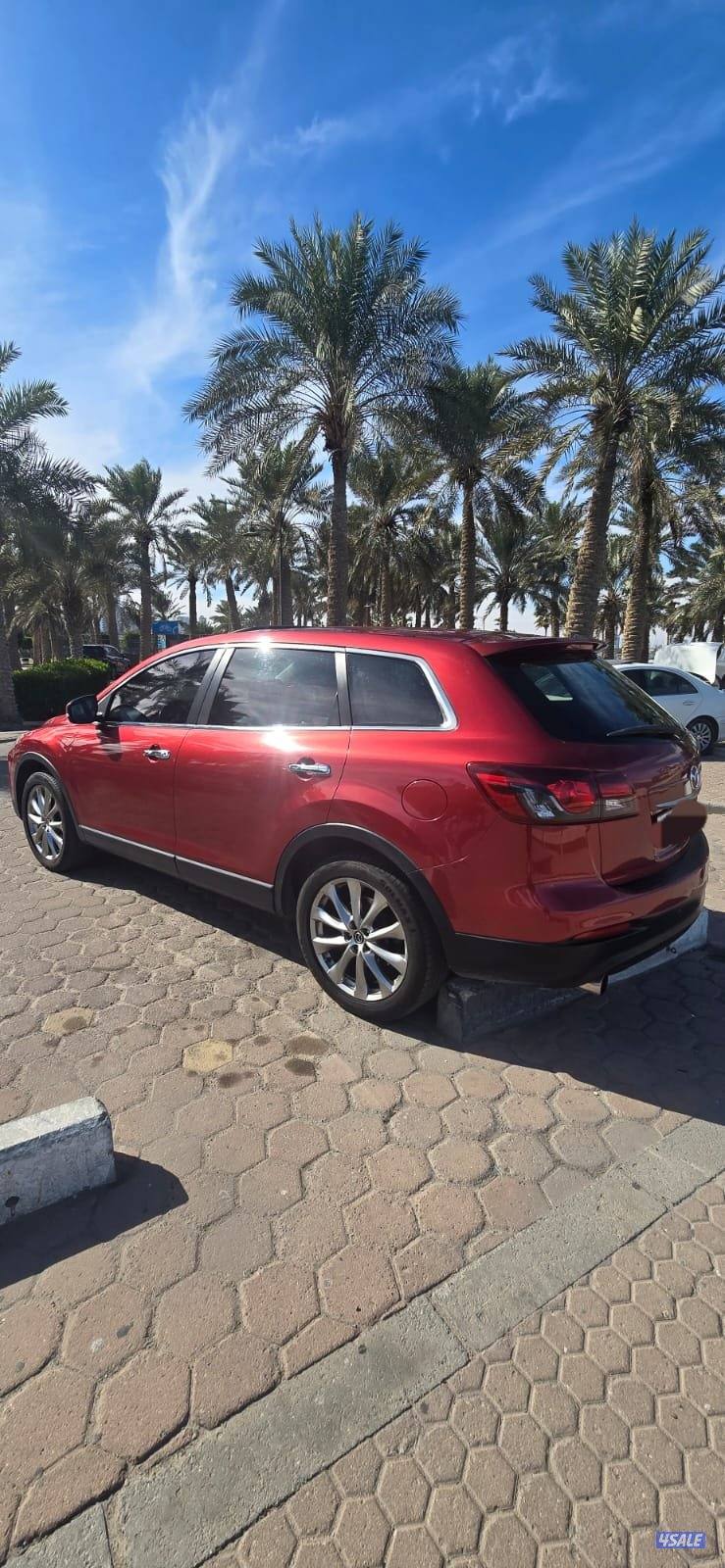 CX9 صبغ المصنع قمة في النظافة أعلى درجة7