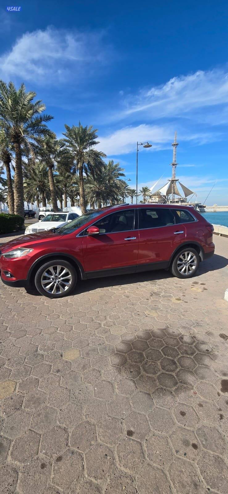 CX9 صبغ المصنع قمة في النظافة أعلى درجة6
