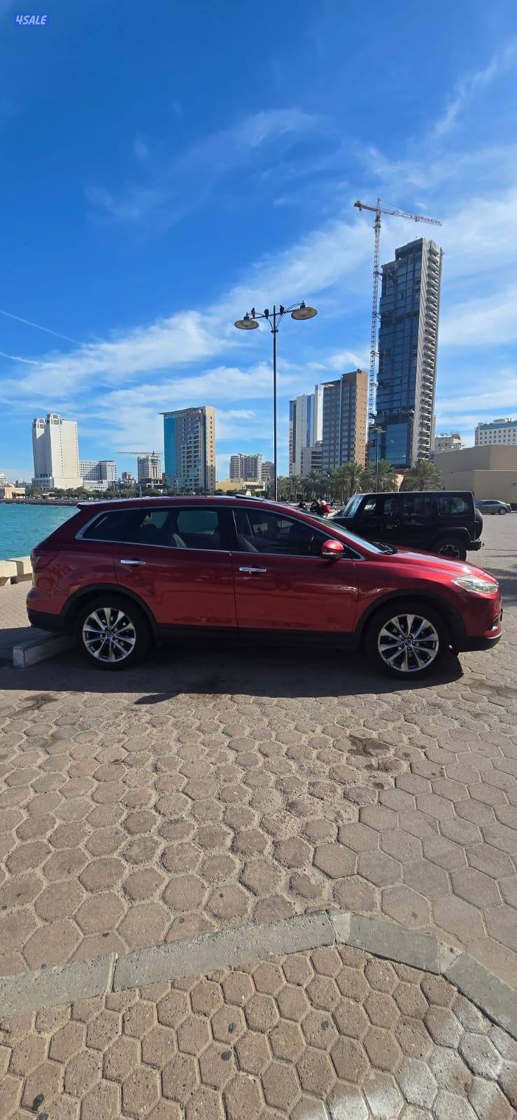 CX9 صبغ المصنع قمة في النظافة أعلى درجة8