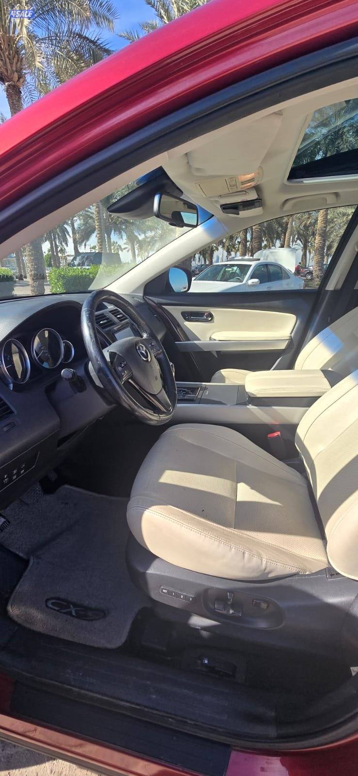 CX9 صبغ المصنع قمة في النظافة أعلى درجة10