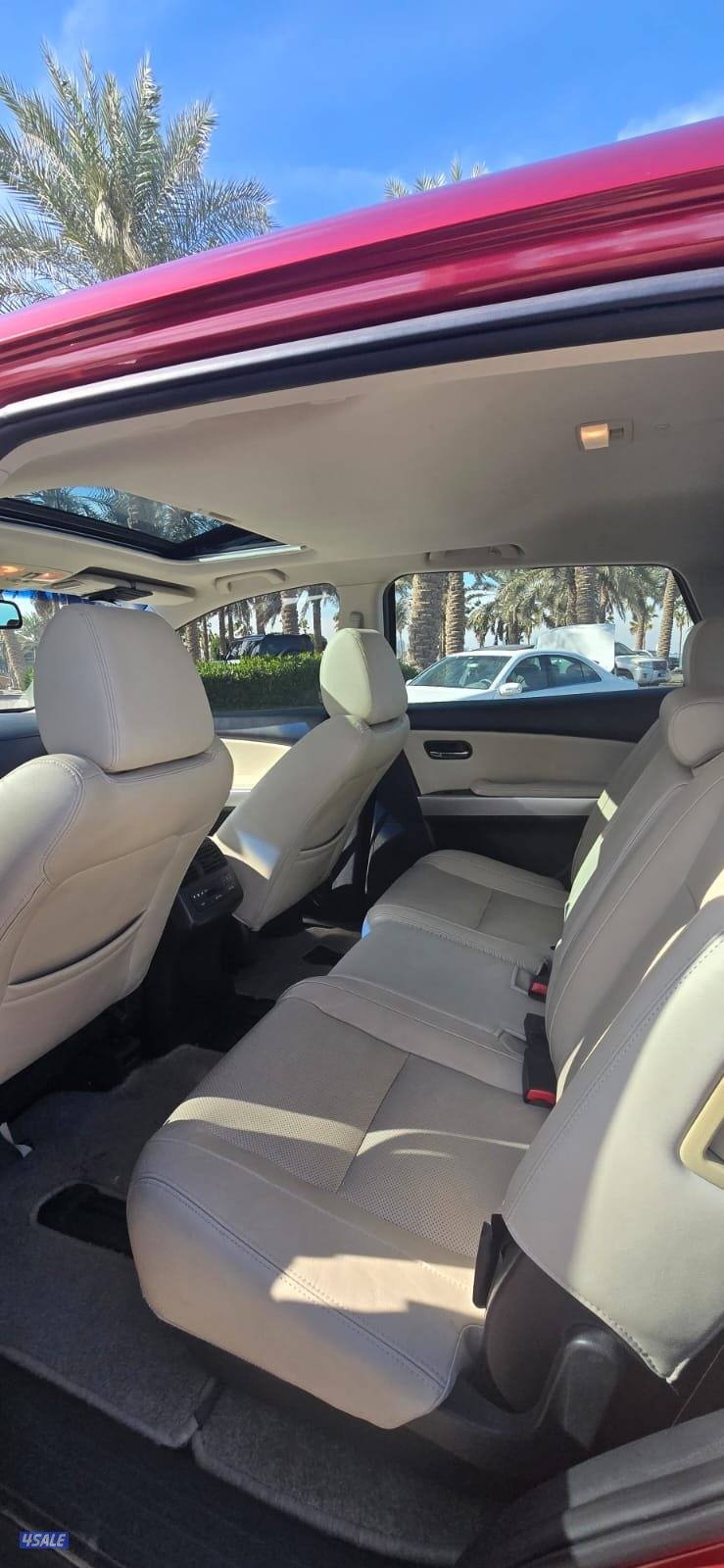 CX9 صبغ المصنع قمة في النظافة أعلى درجة12