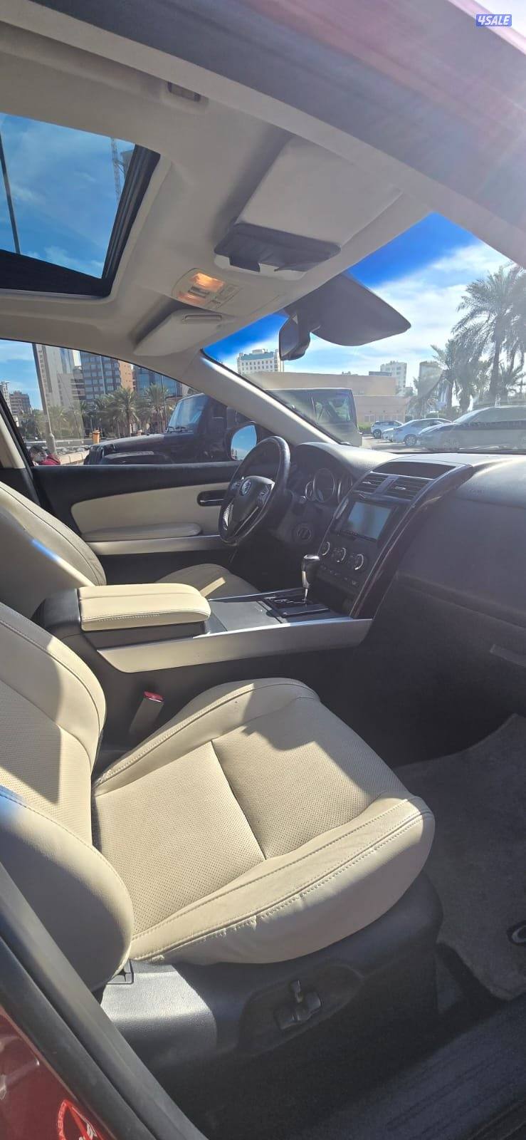 CX9 صبغ المصنع قمة في النظافة أعلى درجة14