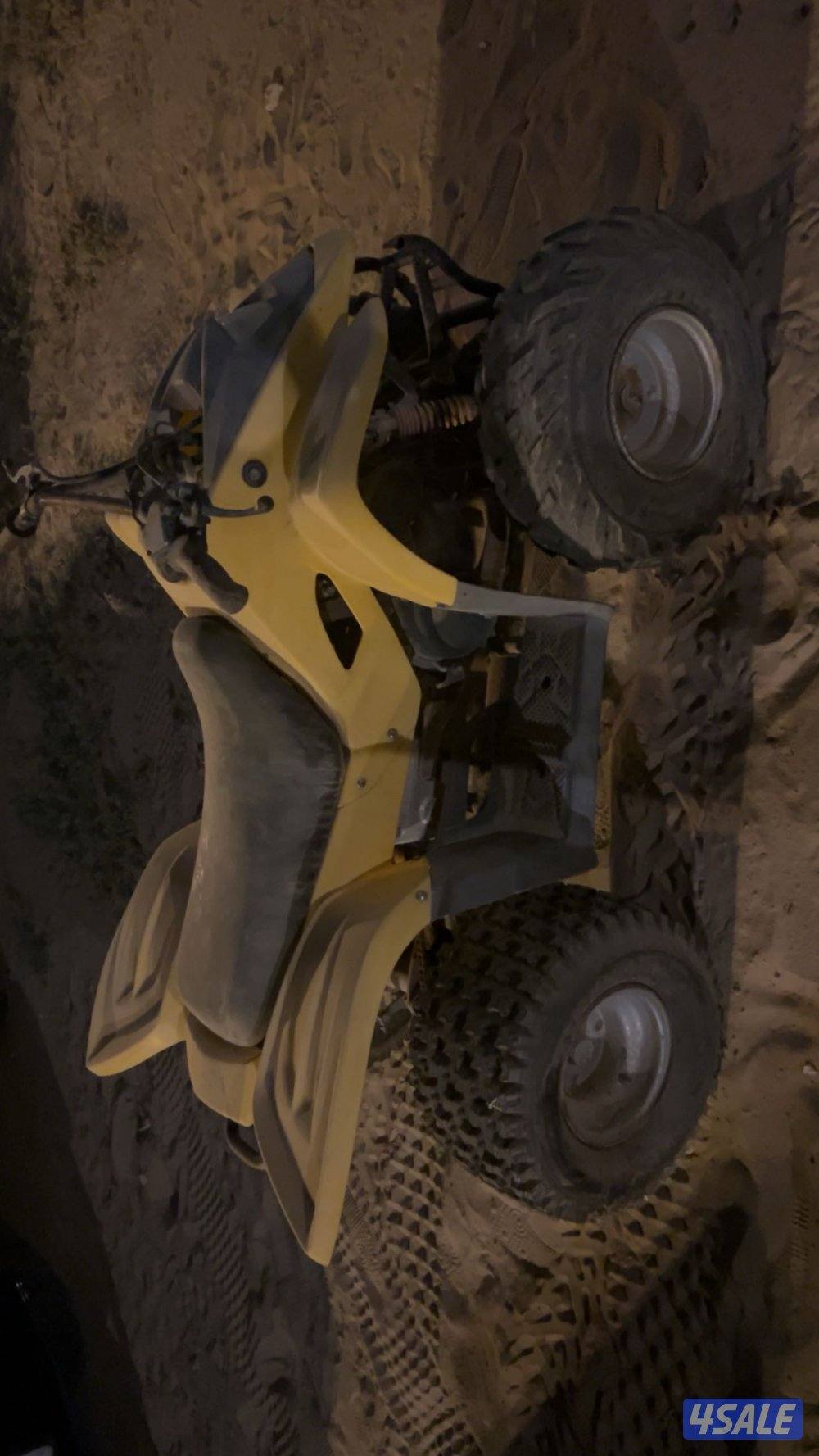 بقي عميري للبيع حجم ١٠٠ لونه اصفر مصبوغ اسود1