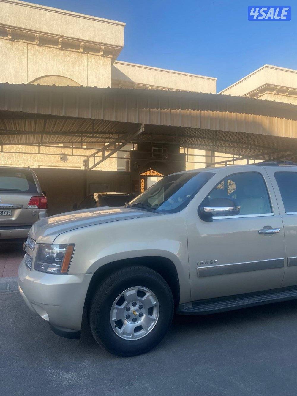 صبغ الوكالة بالكامل3