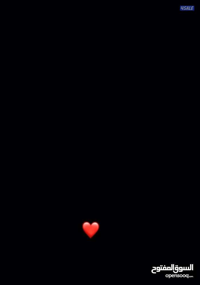 Apple iPhone 17 Pro max in silver with 256GB1