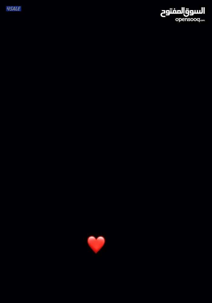 Apple iPhone 17 Pro max in silver with 256GB2