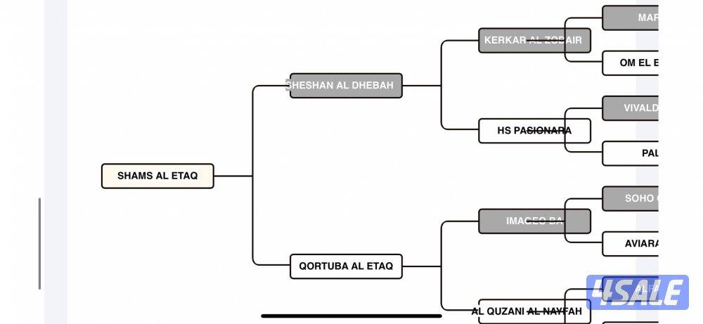 للبيع فرس مصريه جواز وتحويل ومعسوفه5