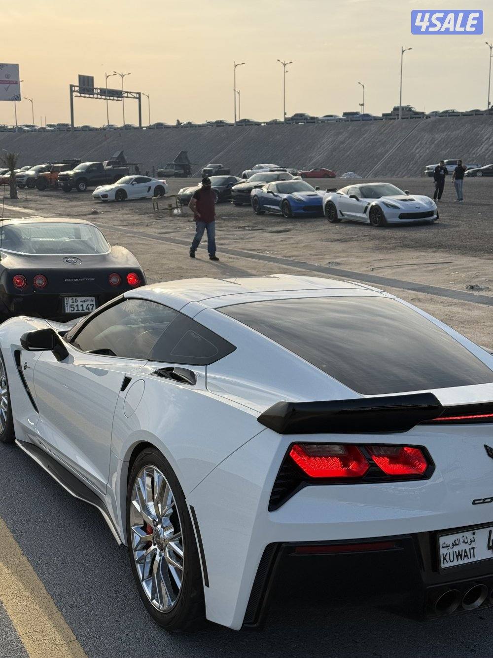 C7 Z51 2014 قير عادي كورفيت2