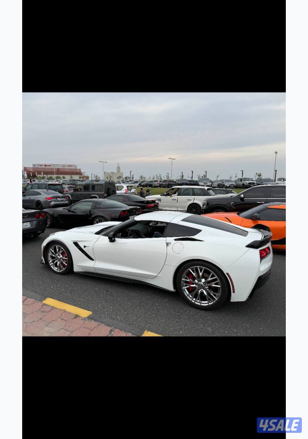 C7 Z51 2014 قير عادي كورفيت3