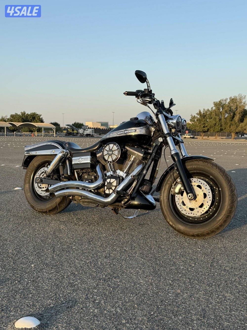 Dyna fatbobداينا فات بوب0