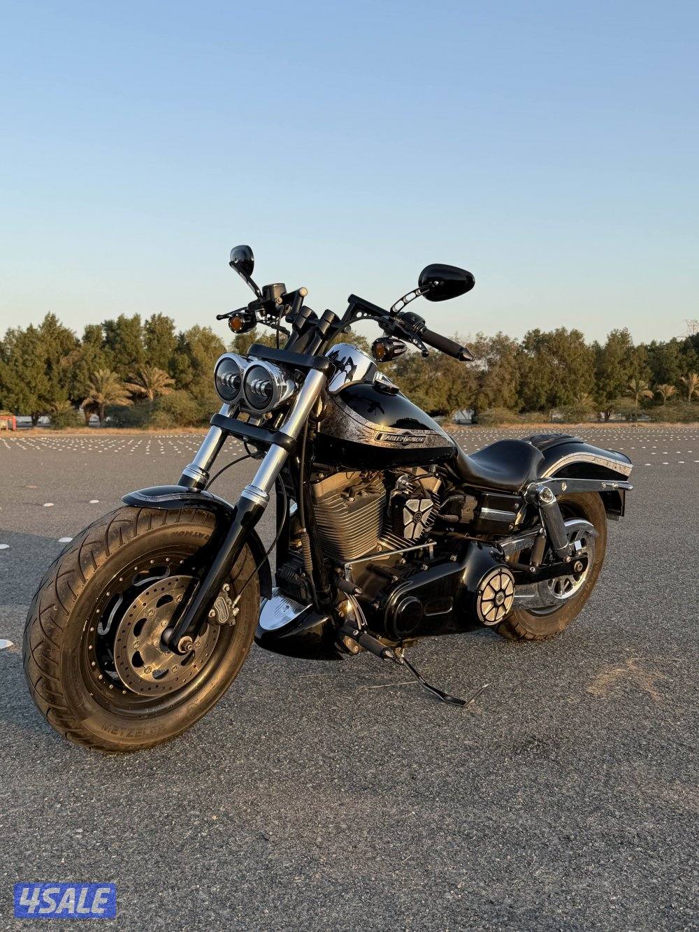 Dyna fatbobداينا فات بوب5