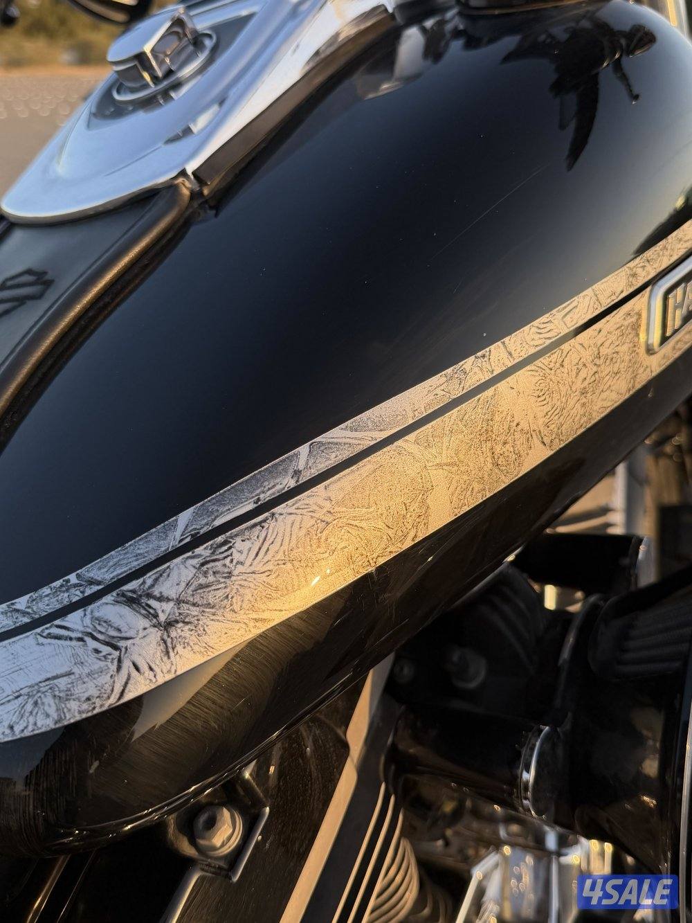 Dyna fatbobداينا فات بوب6