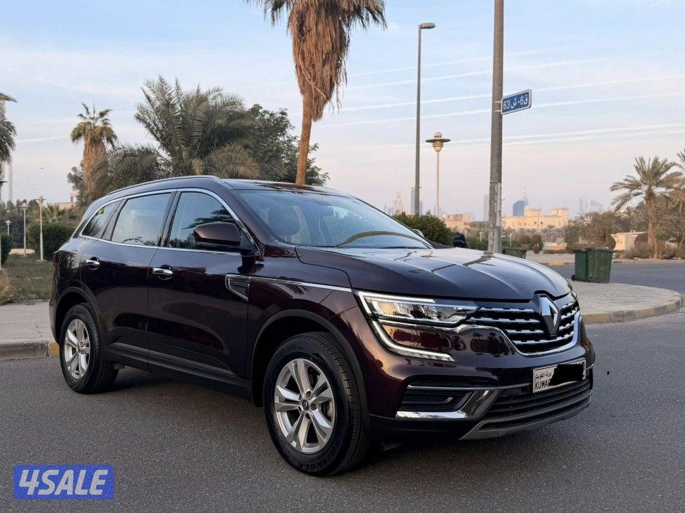 رينو عداد 29 تحت الكفالة 10 سنوات1