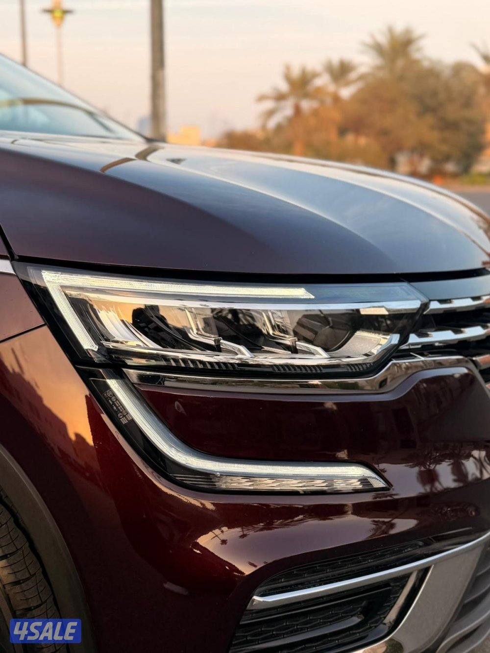 رينو عداد 29 تحت الكفالة 10 سنوات5