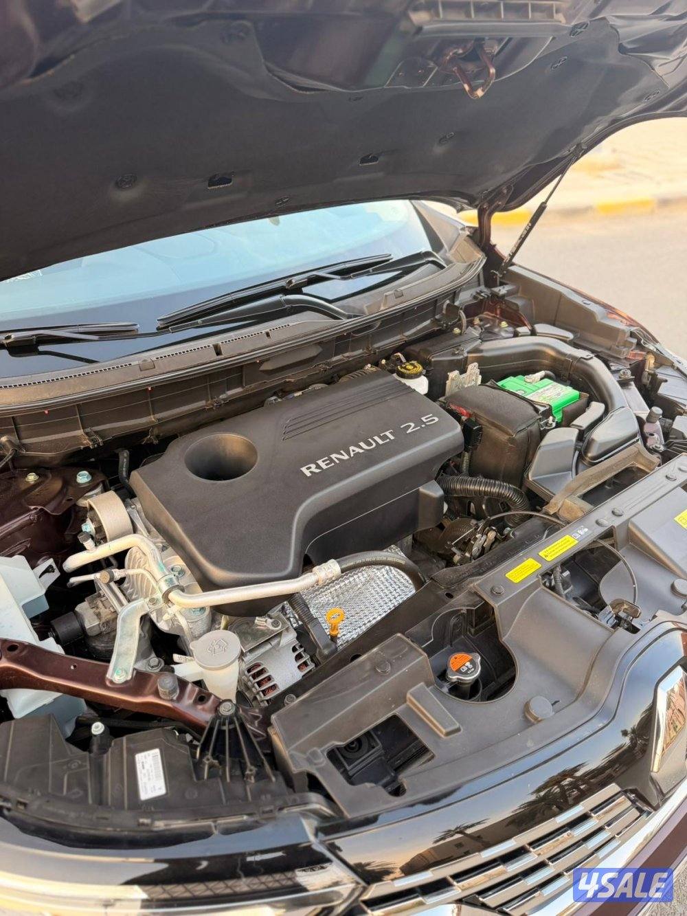 رينو عداد 29 تحت الكفالة 10 سنوات11