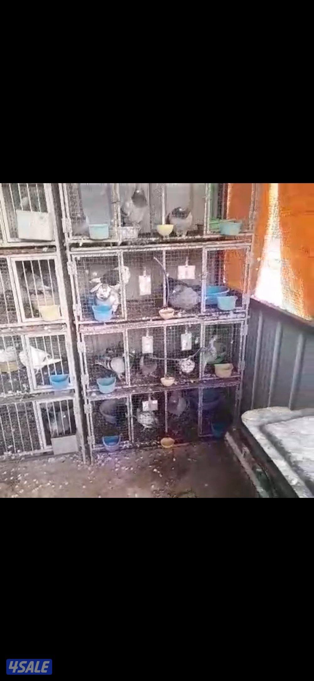 مشروع حمام جاهز للبيع الخانات 8 ام 8 وحده ام 3 عدد الأزواج 660