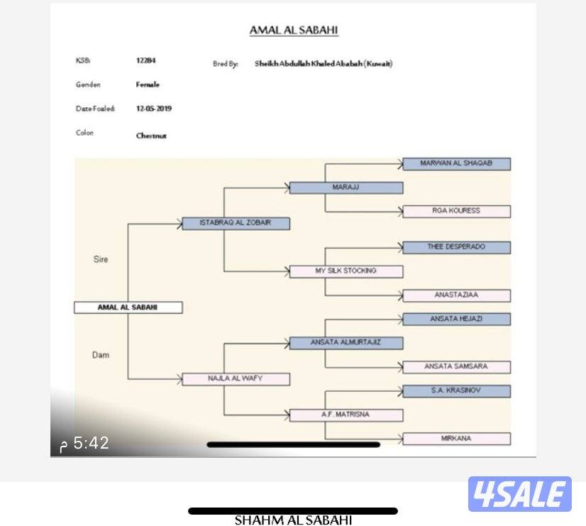 مجموعة افراس واهو0