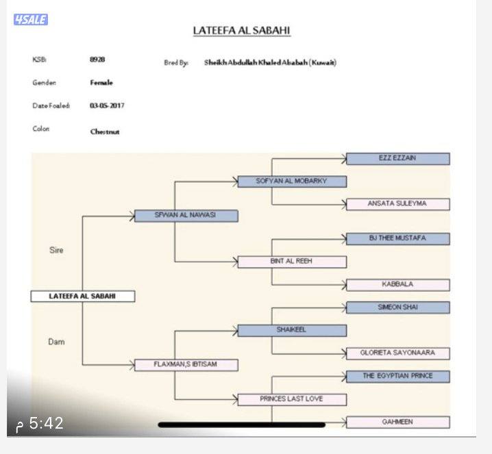 مجموعة افراس واهو2