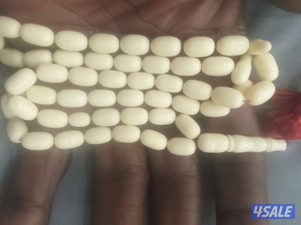 للبيع مسباحين كهرب وفاتوران10