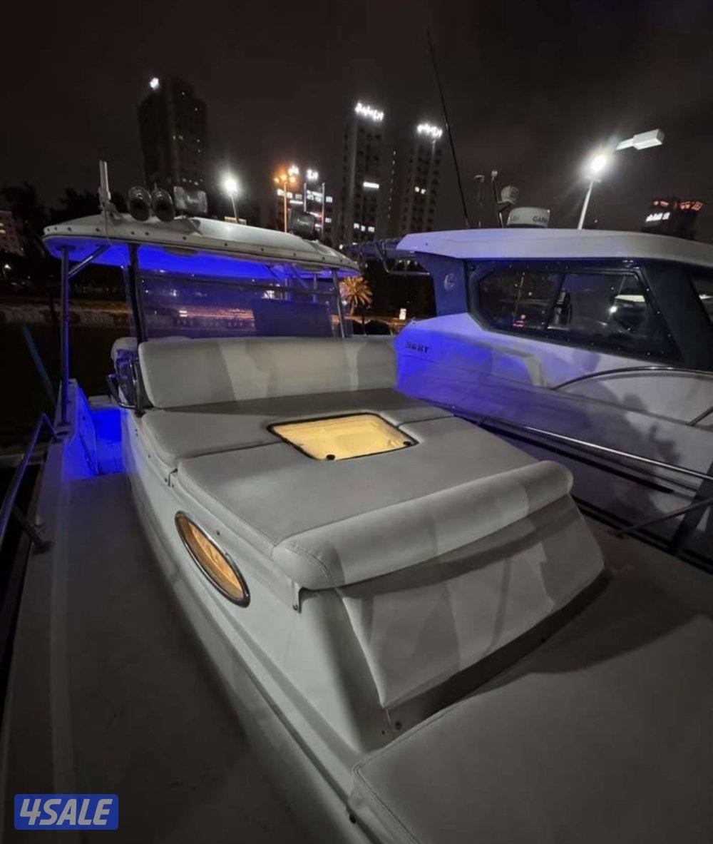 الضاعن بايونير 30 قدم1