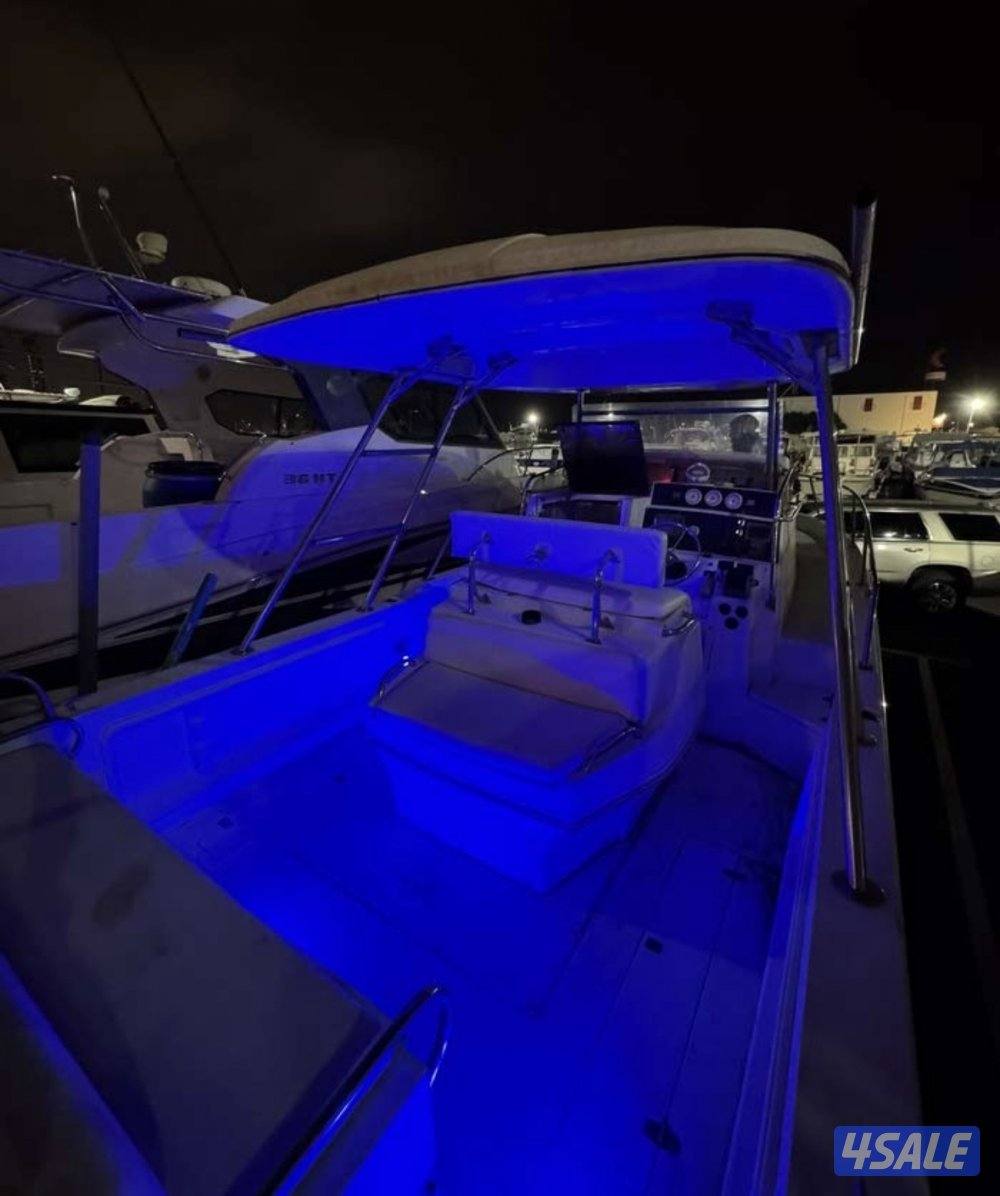 الضاعن بايونير 30 قدم4