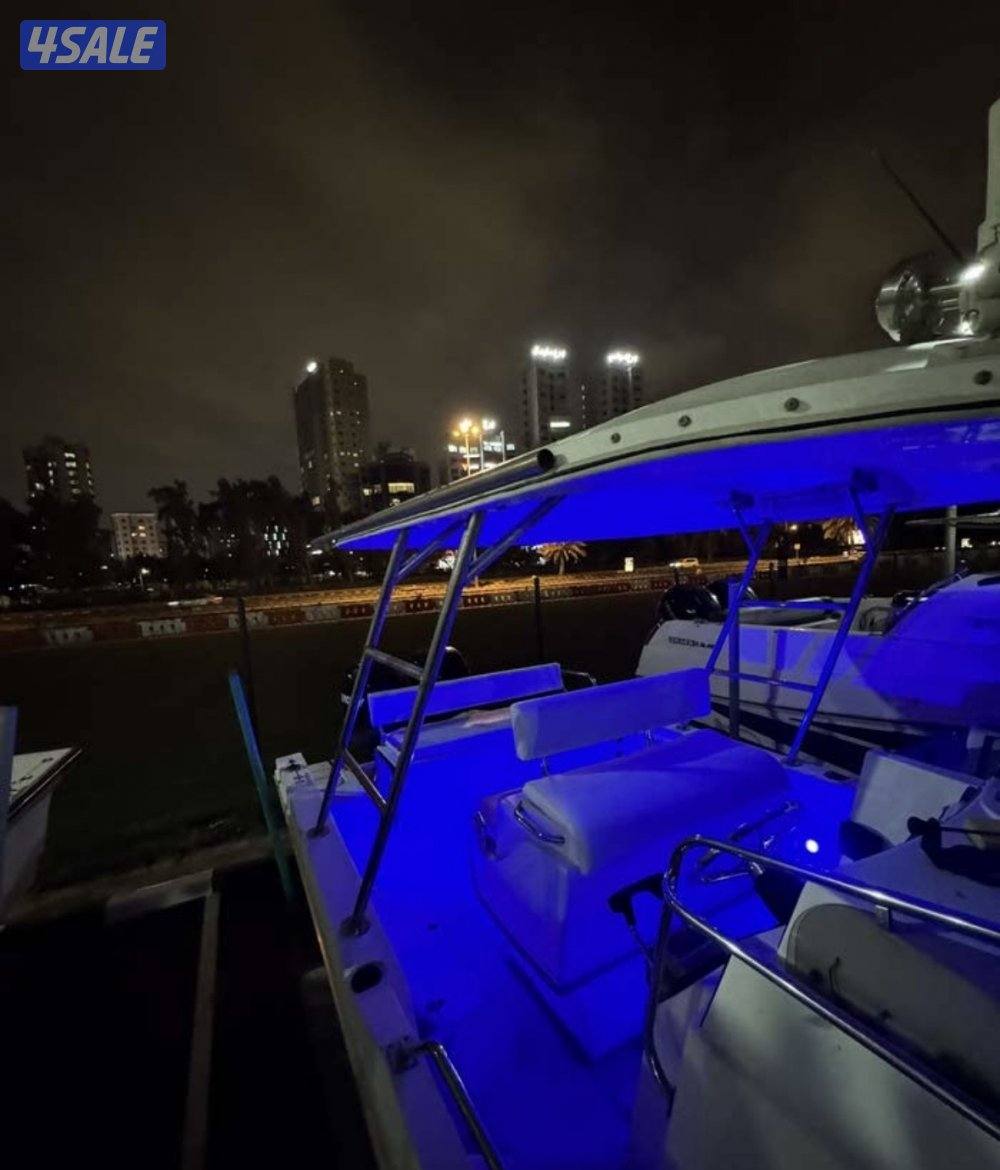 الضاعن بايونير 30 قدم5