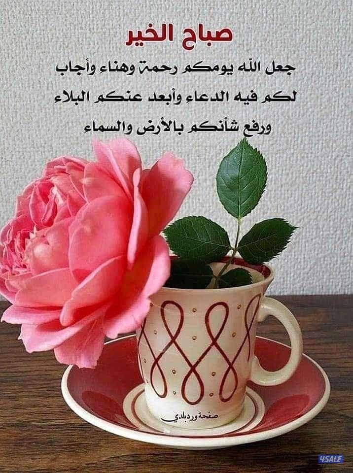 للبيع. /. ارض.  الاندلس0