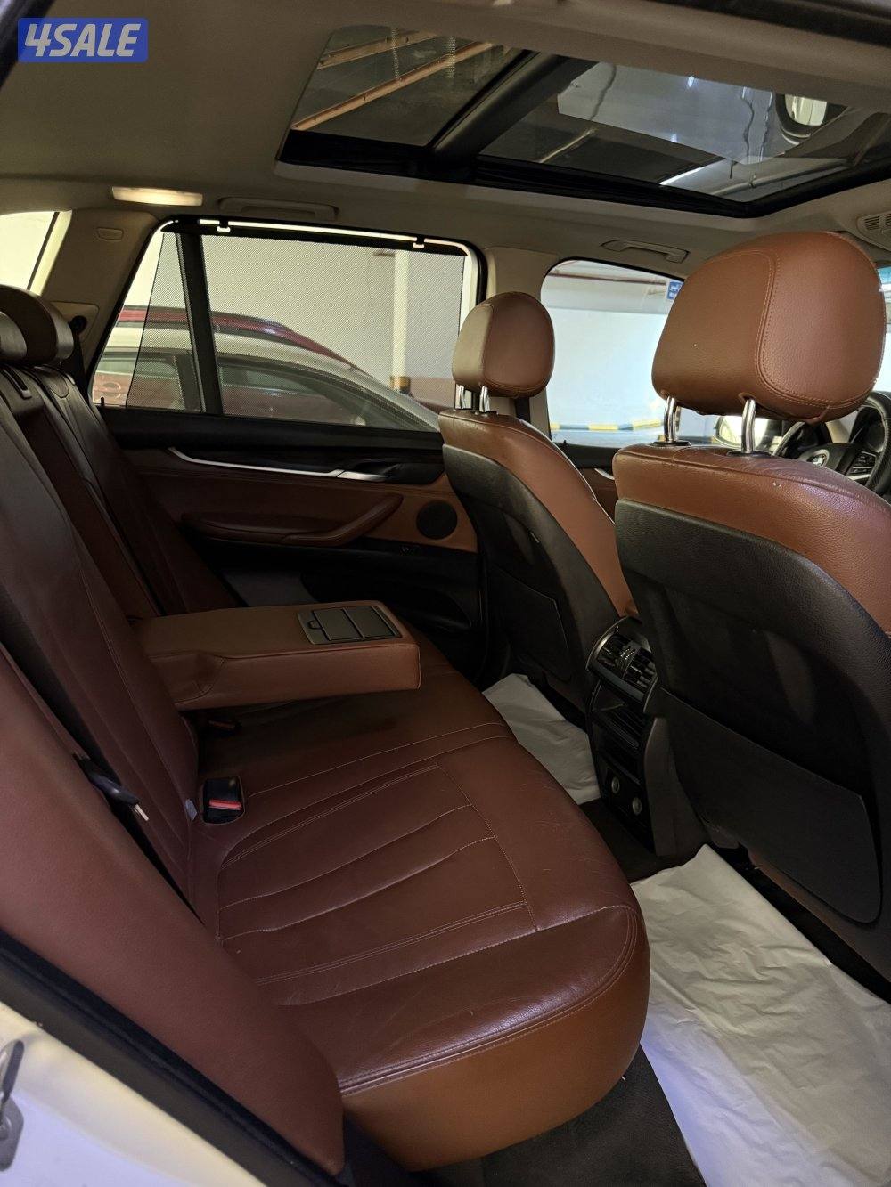 الشعب البحري8