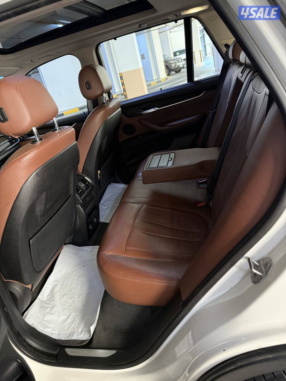 الشعب البحري9