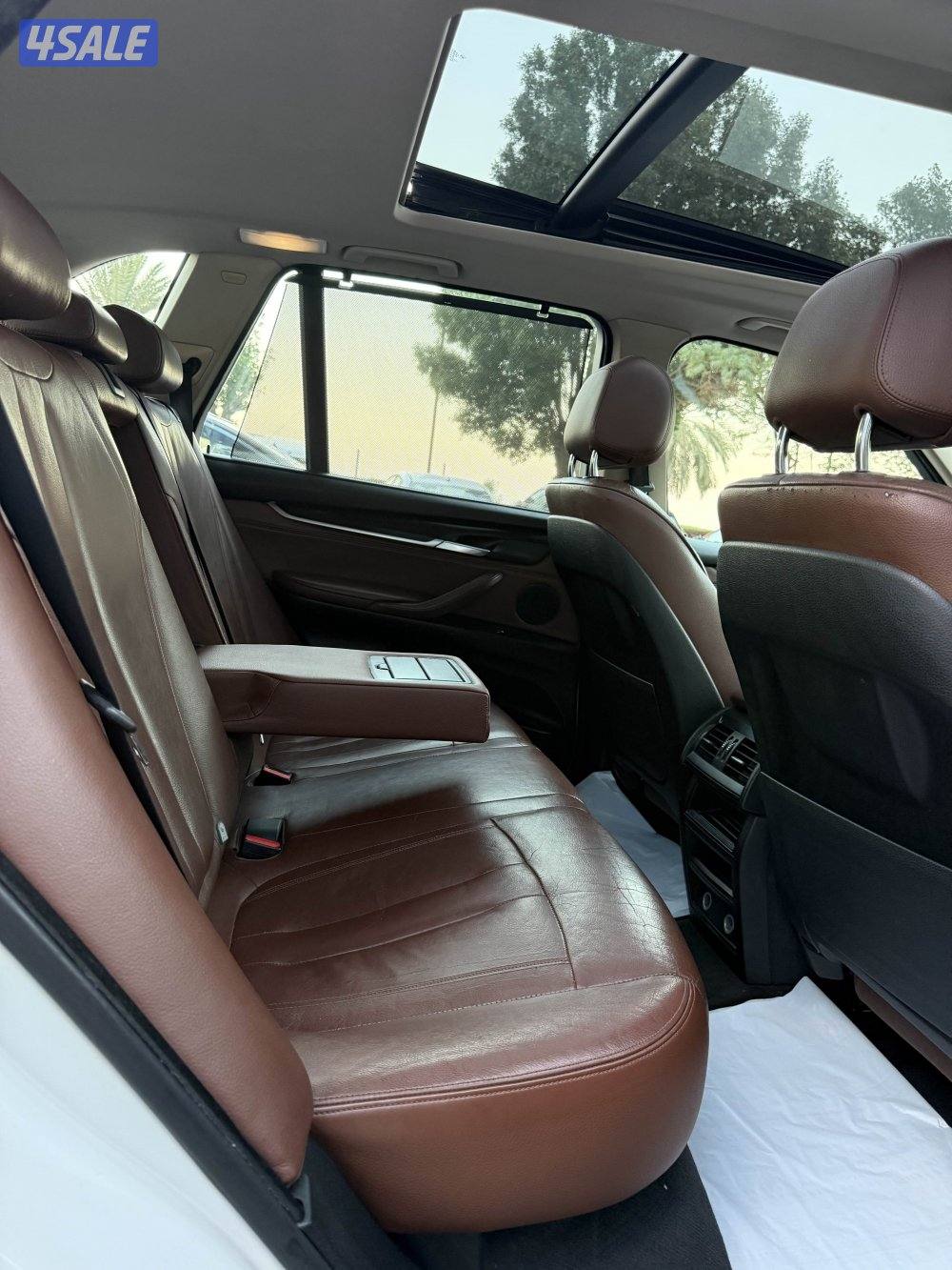 الشعب البحري13