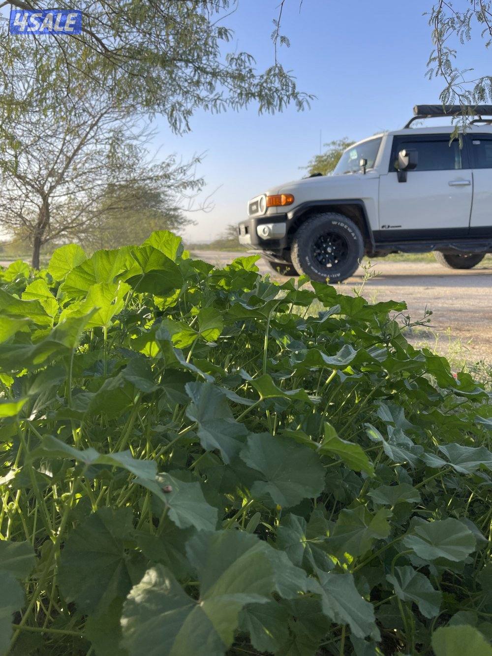 للبيع اغراض اف جي1