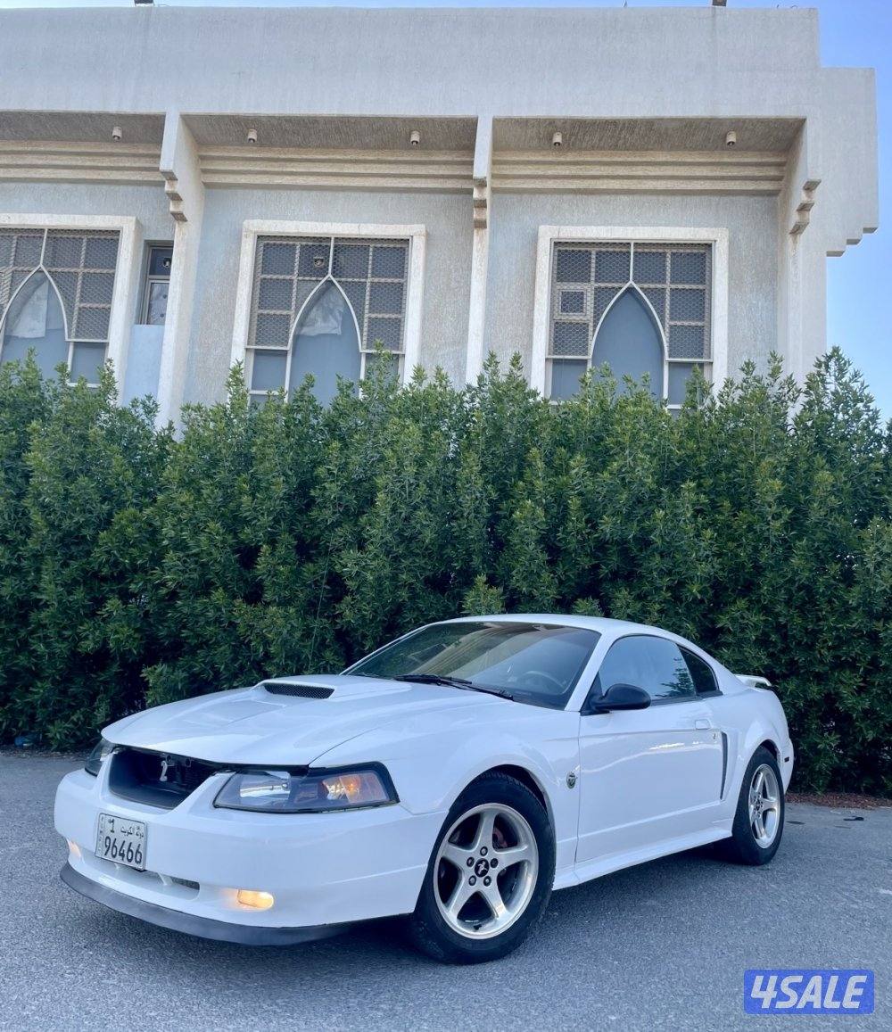 للبيع موستنغ 2003 قير عادي0