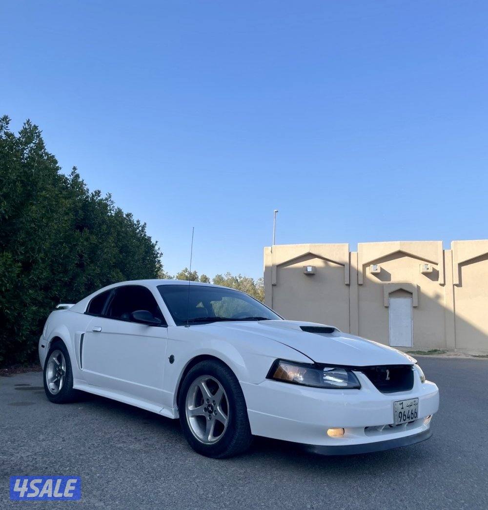 للبيع موستنغ 2003 قير عادي2