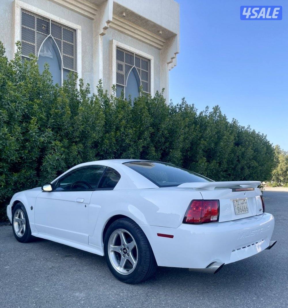 للبيع موستنغ 2003 قير عادي3