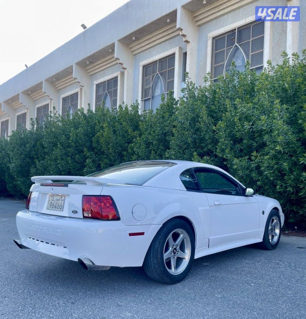 للبيع موستنغ 2003 قير عادي5