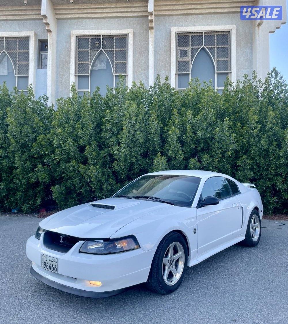 للبيع موستنغ 2003 قير عادي6